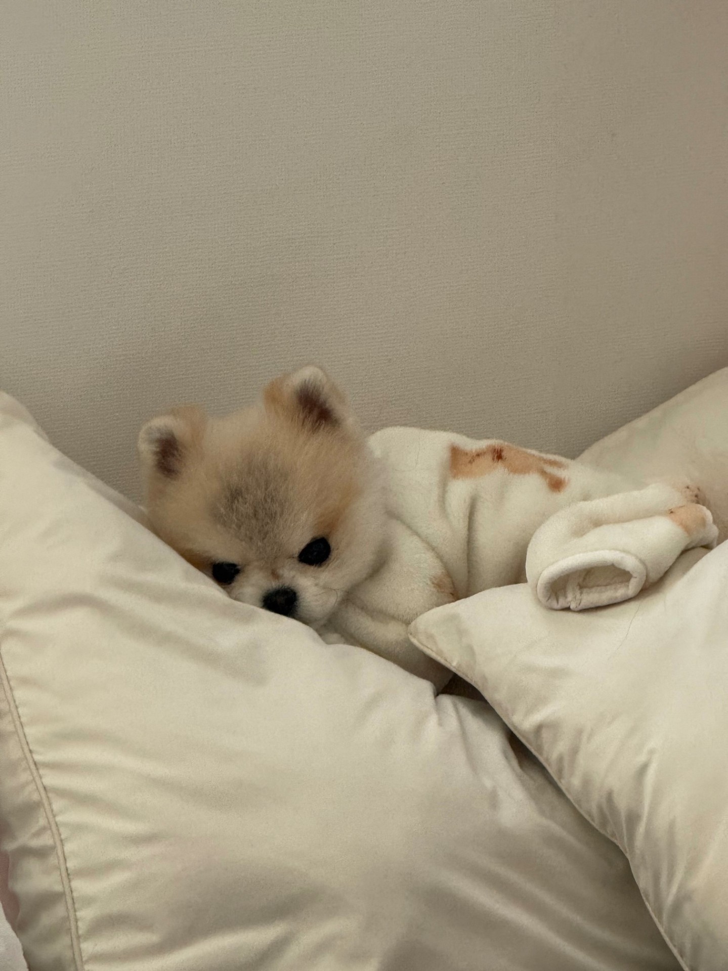 # 마감 슈우우우웃 렉스예수