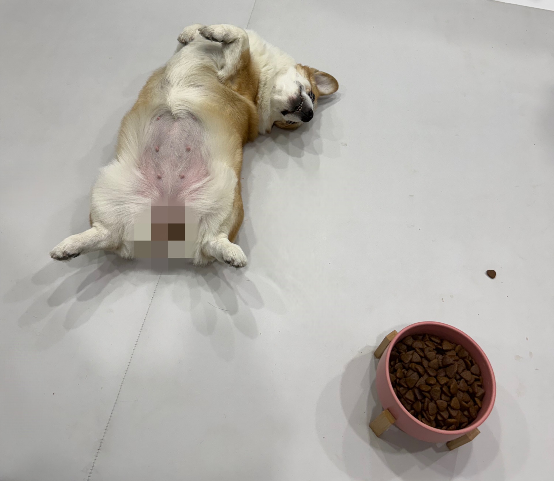 # 오전 시간은 오랜만이지?