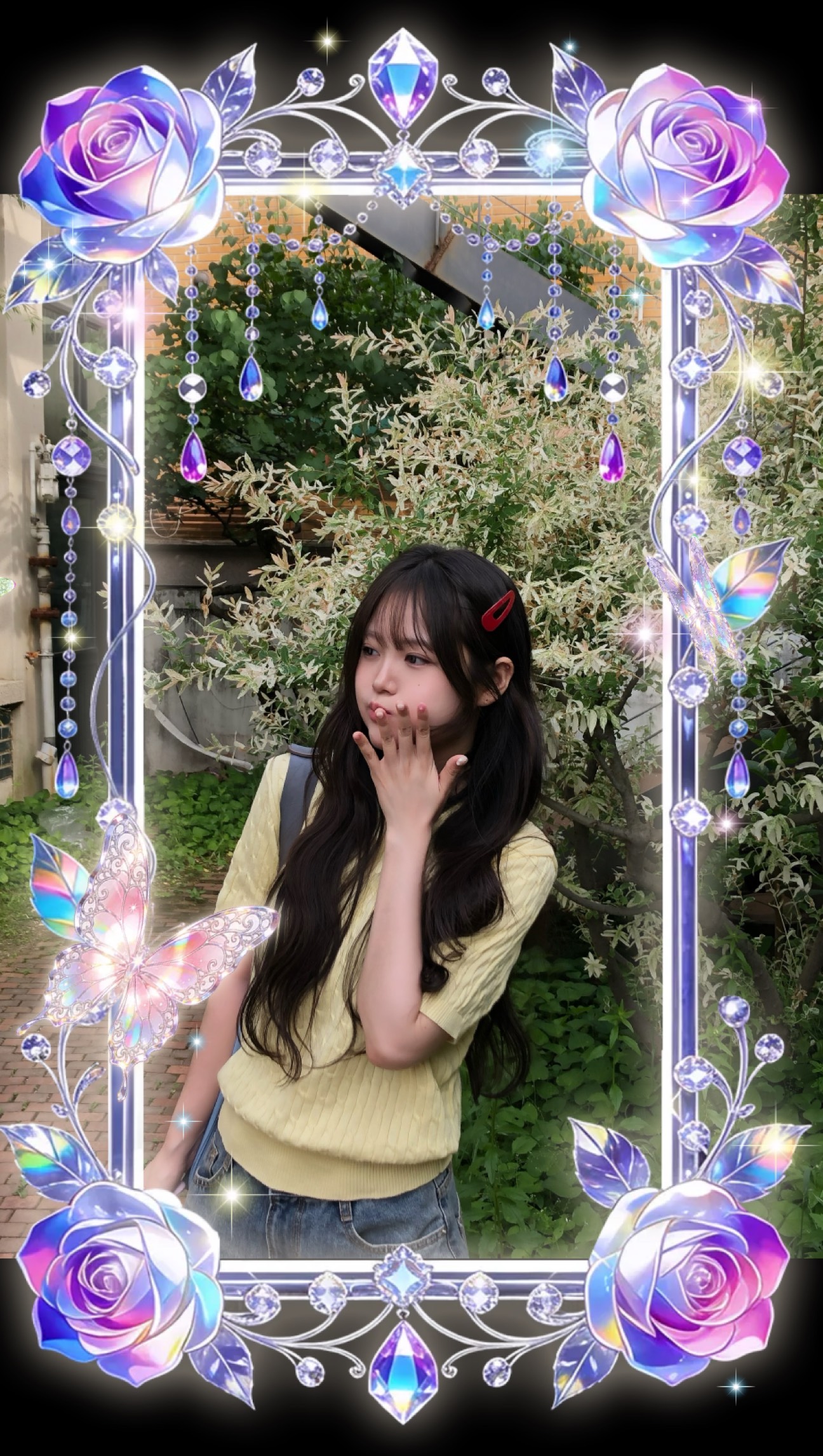 오월의 장미