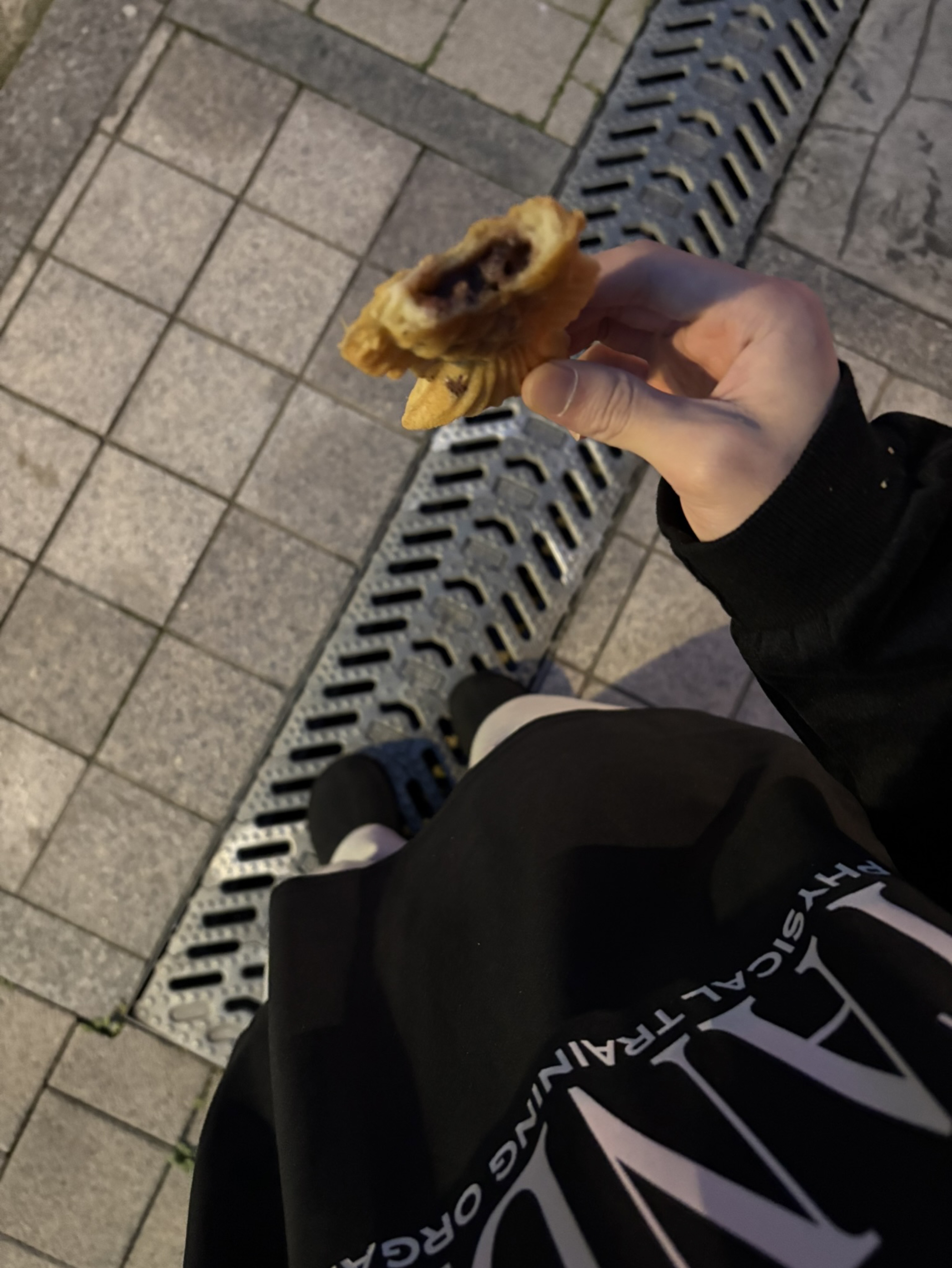 멘헤라정신병