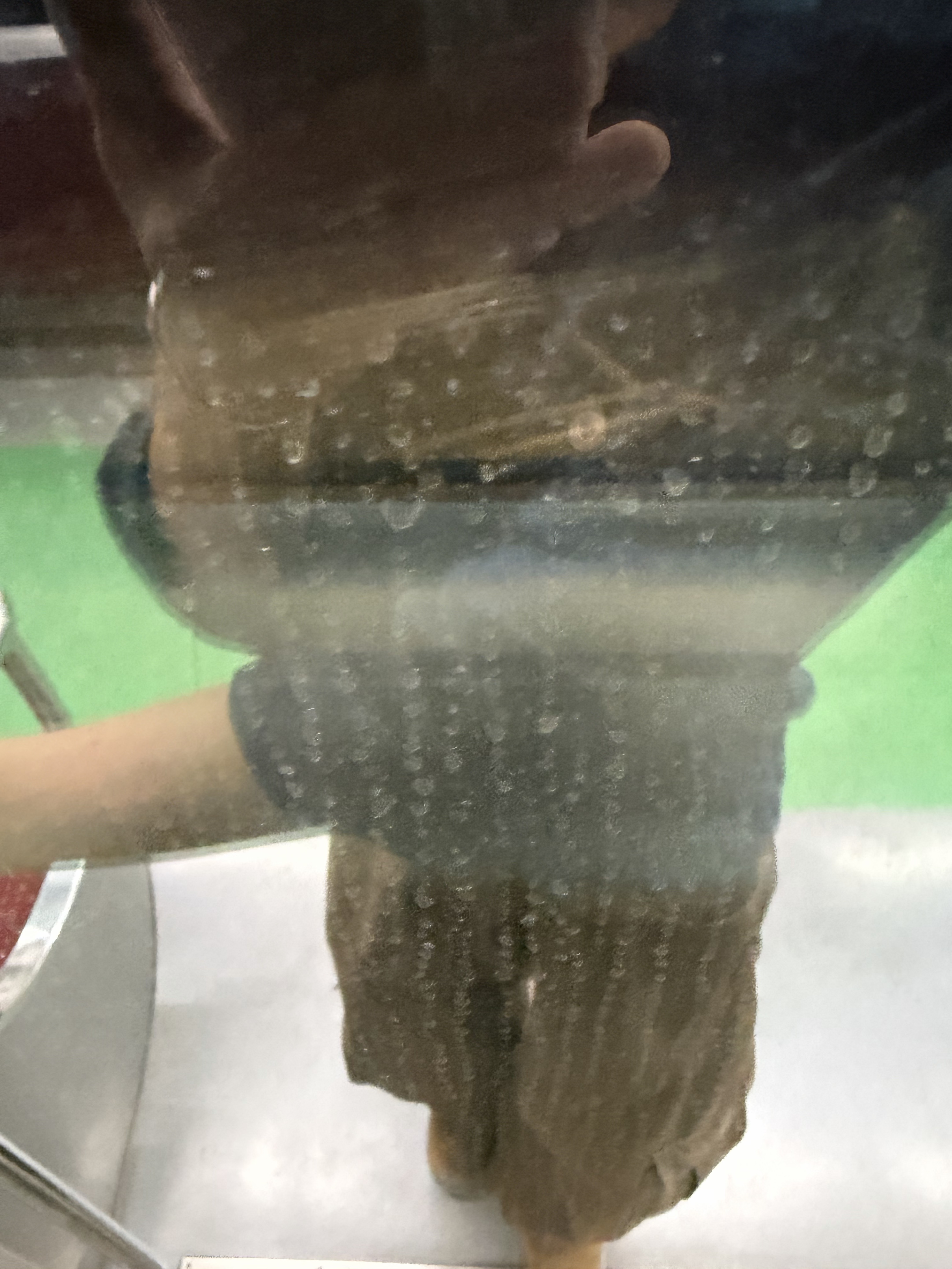 멘헤라정신병