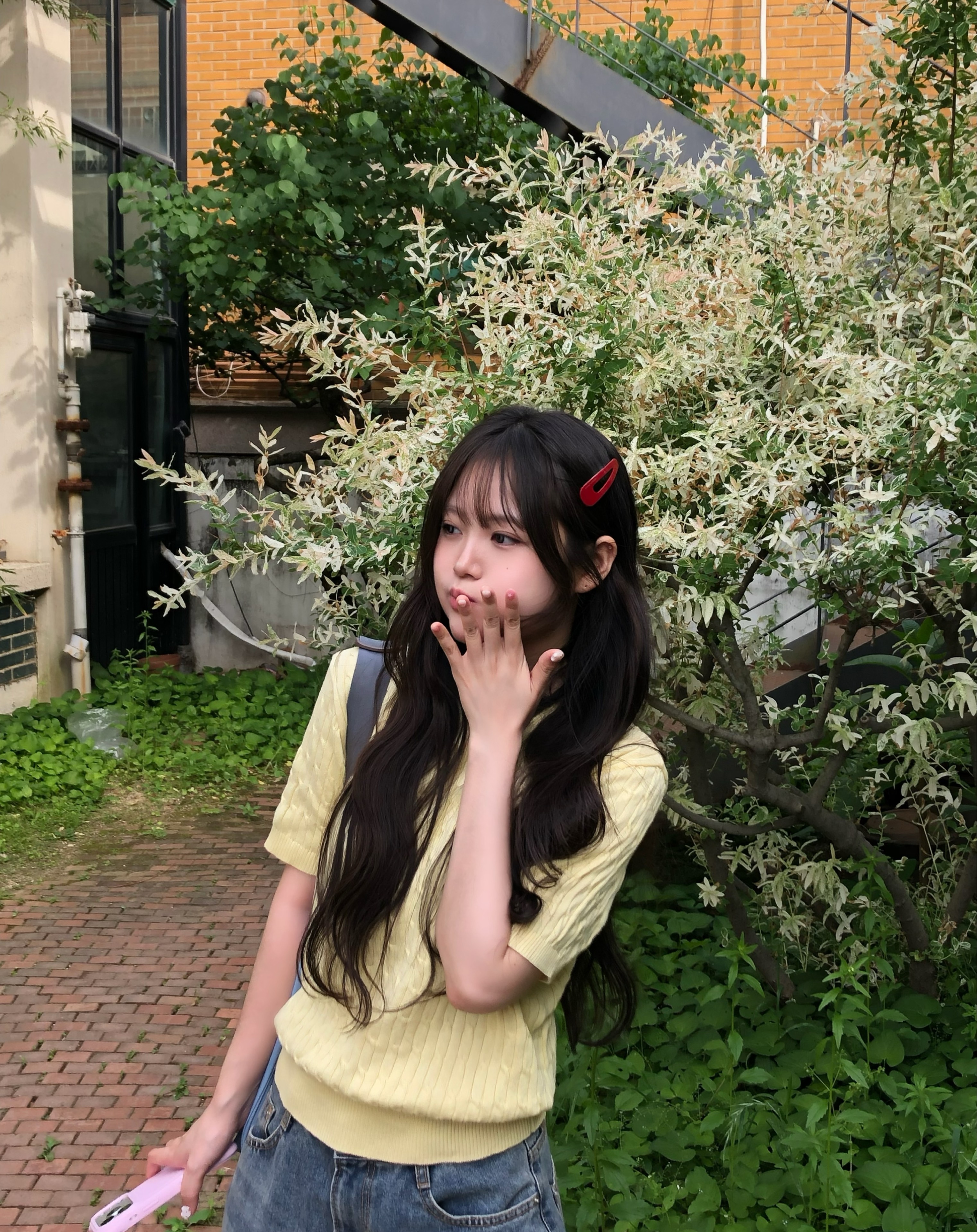 오월의 장미