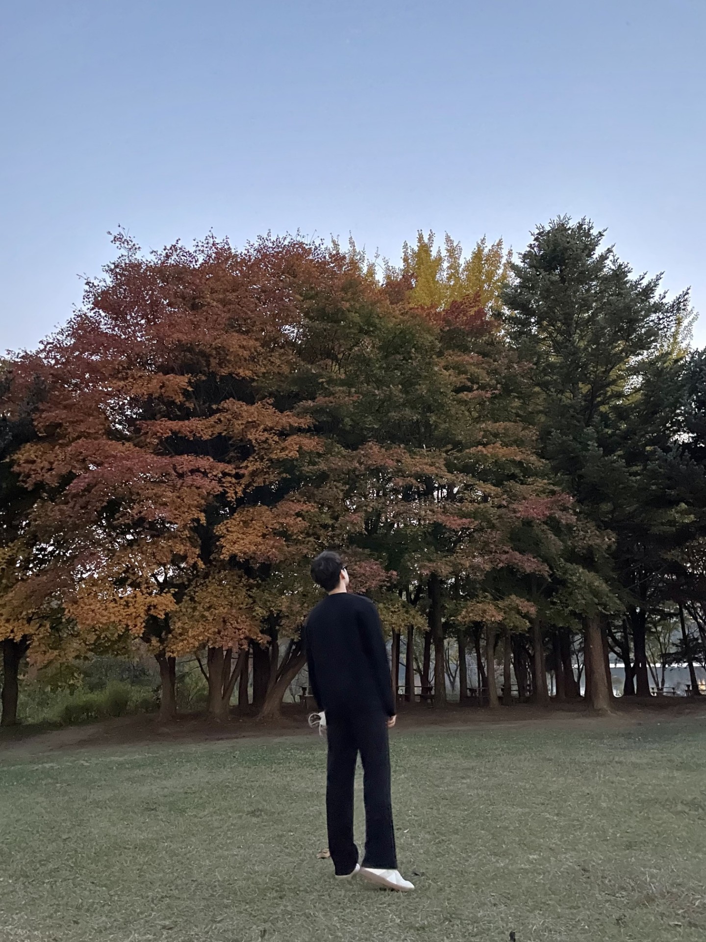노래한소절