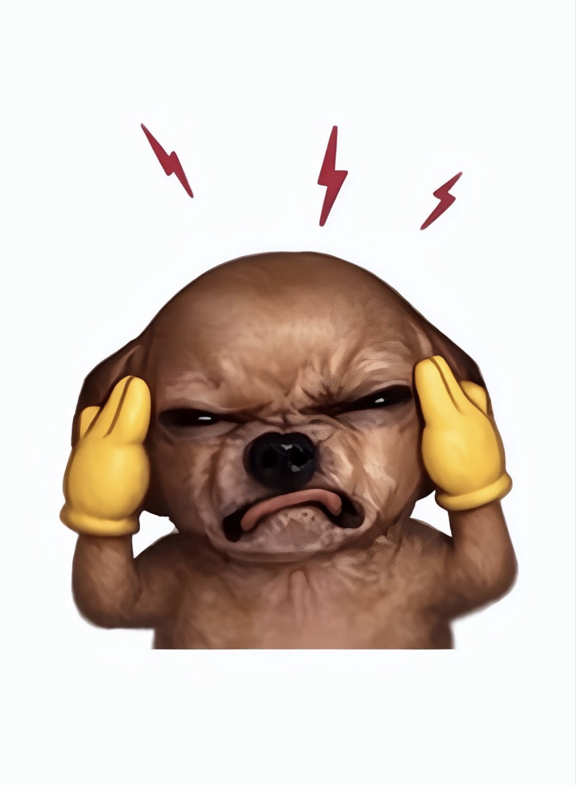 ㅎㅇㅎ
