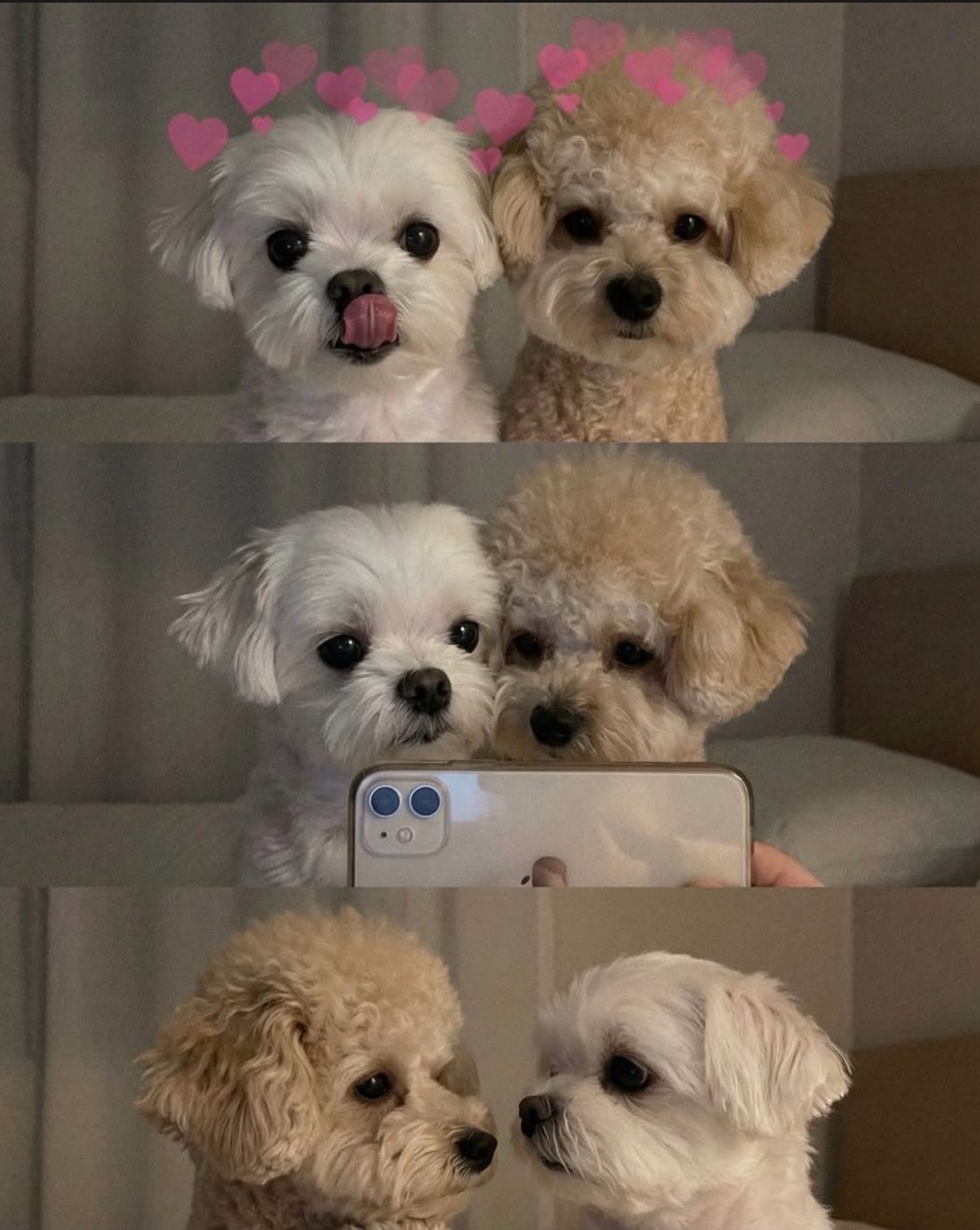 눈병 조심하세요 다들 ㅠ