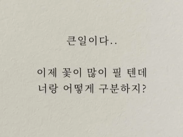 허접 중미성