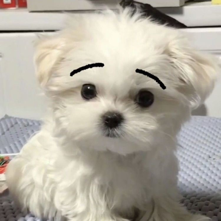잔잔..... (짜르방)