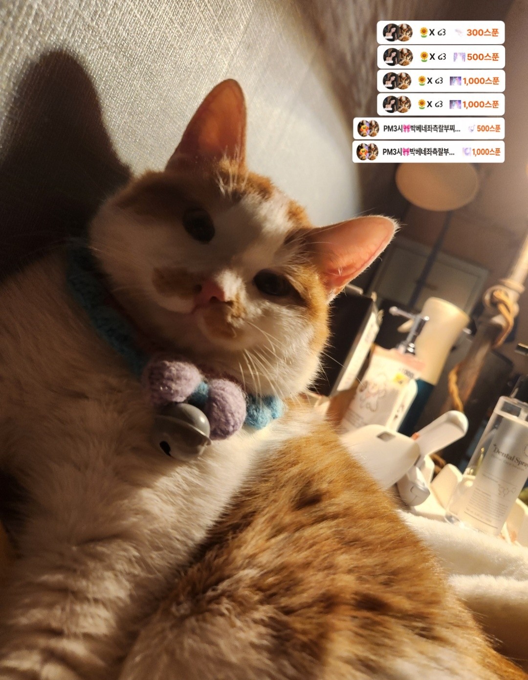 [ 잔잔 ]