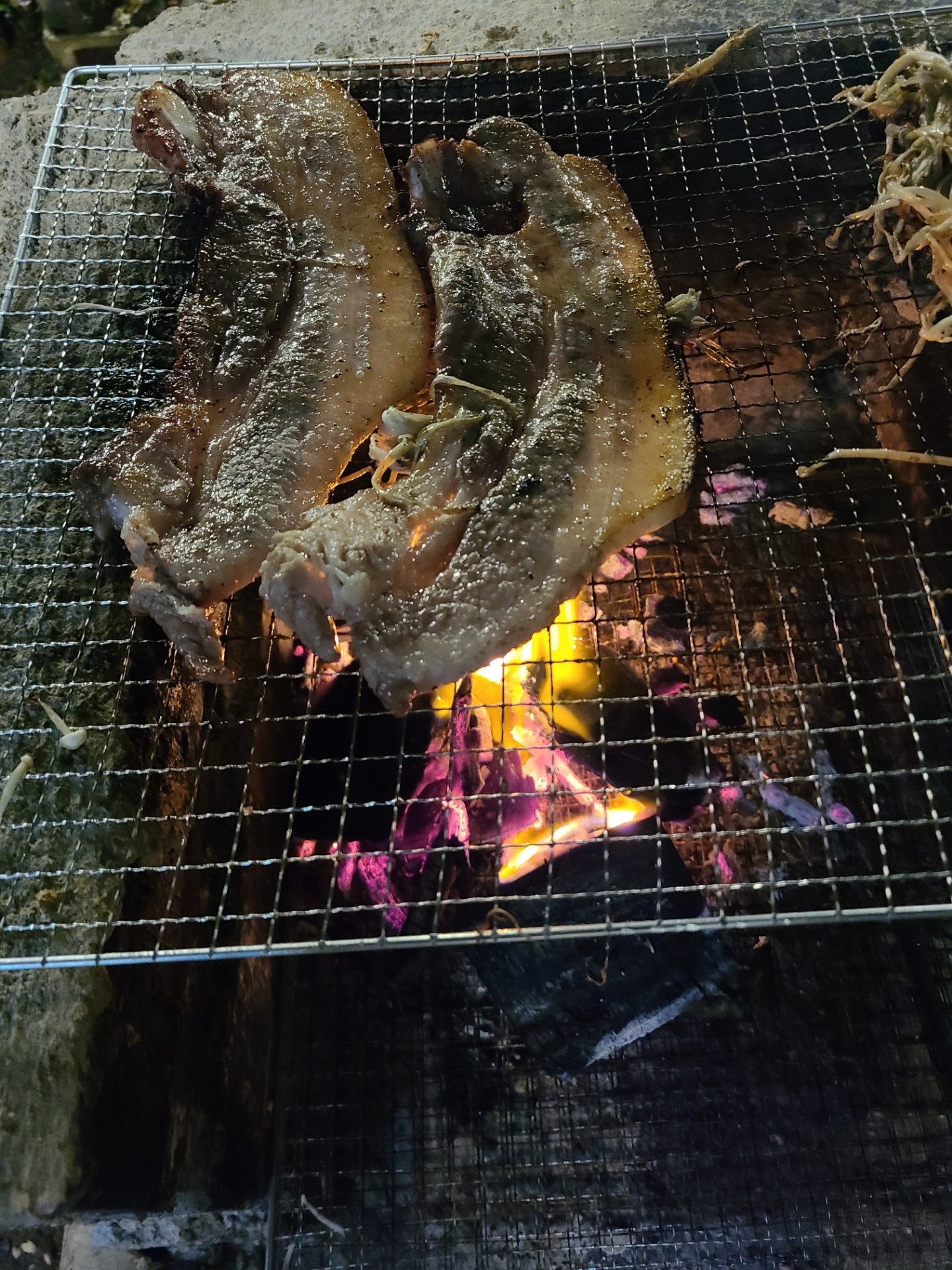 ❝ 제주도 4일차 드르쿰다 카페 ❞
