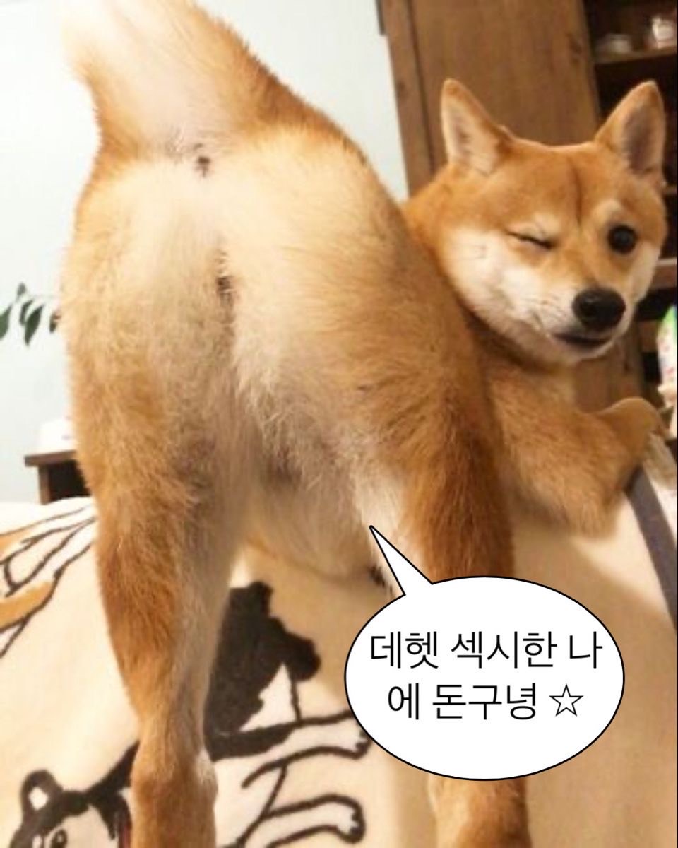 이상형 오면 방종ㅋ