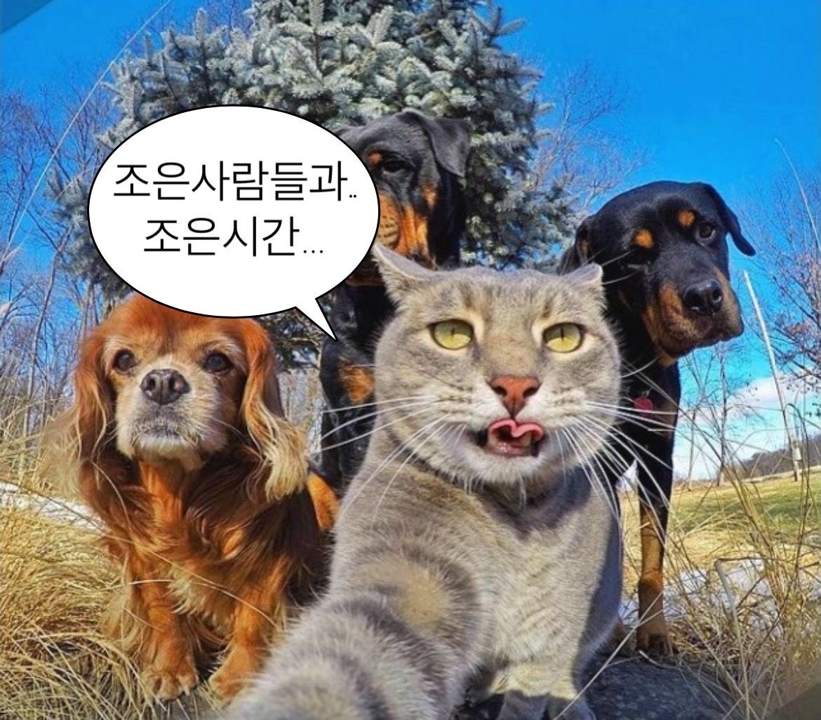라콜라콜