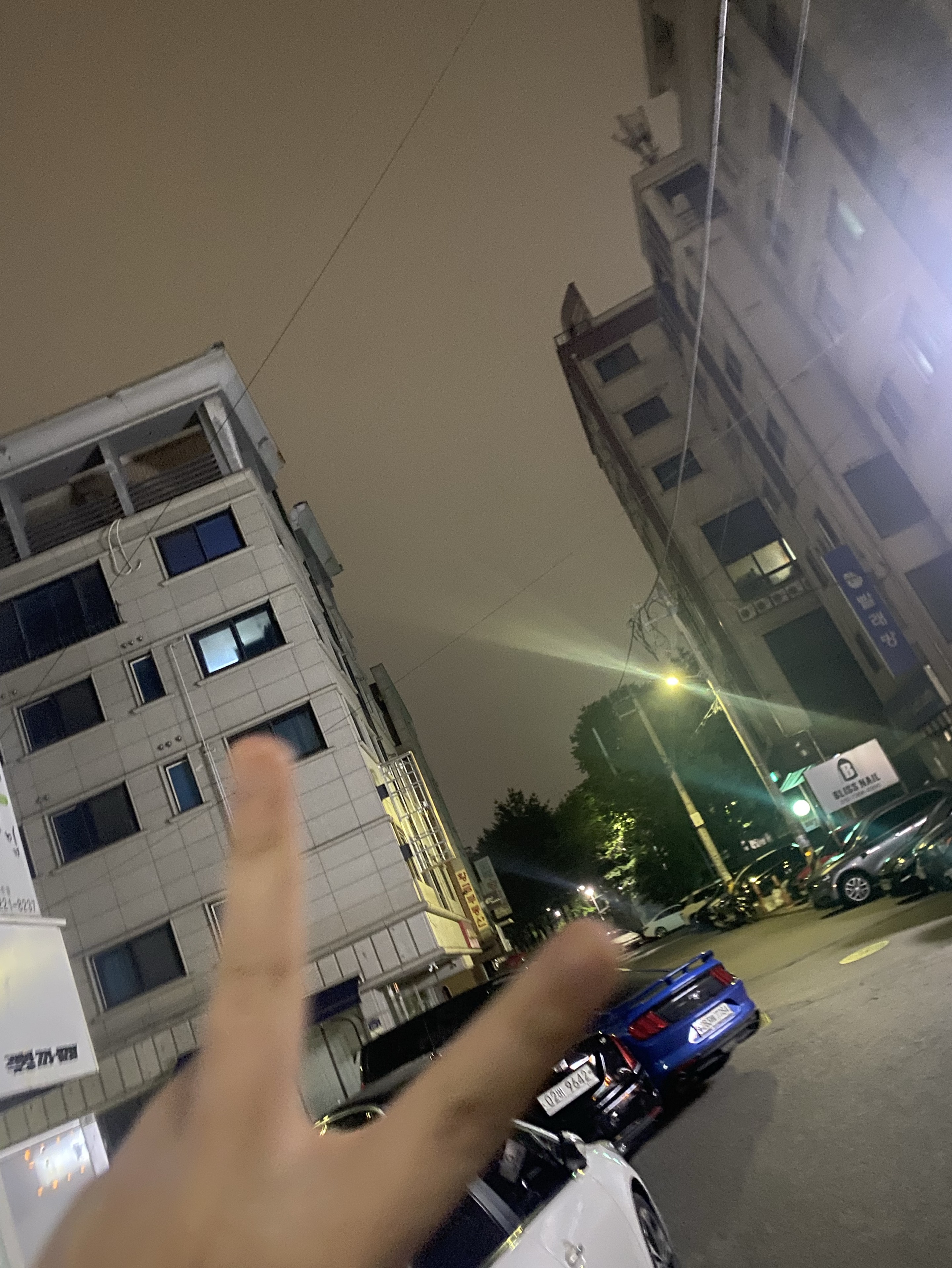 # 산책하는 원트…
