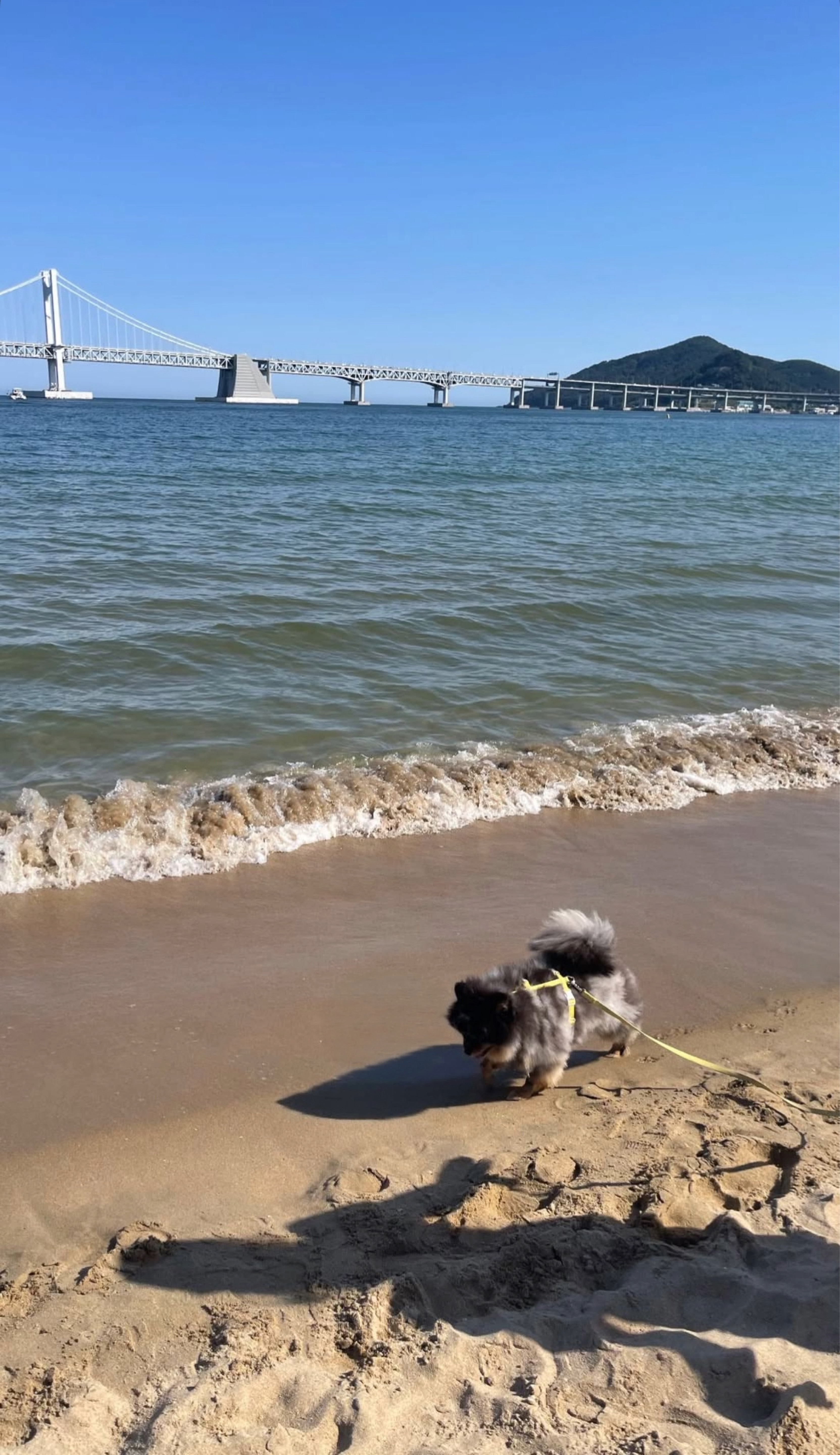 조금만 