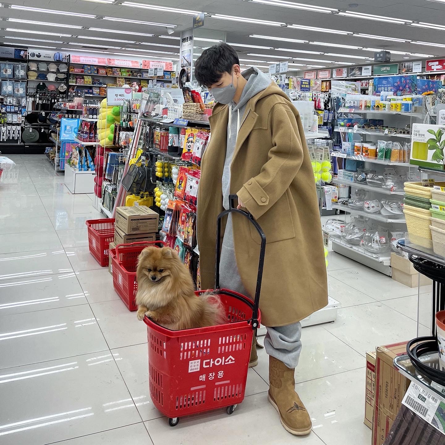 출근길