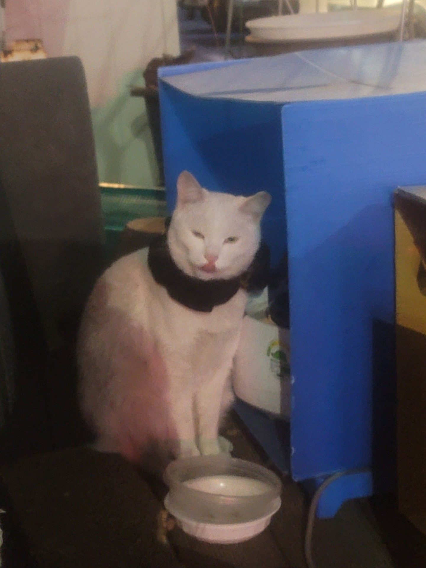 새벽 기타 노래