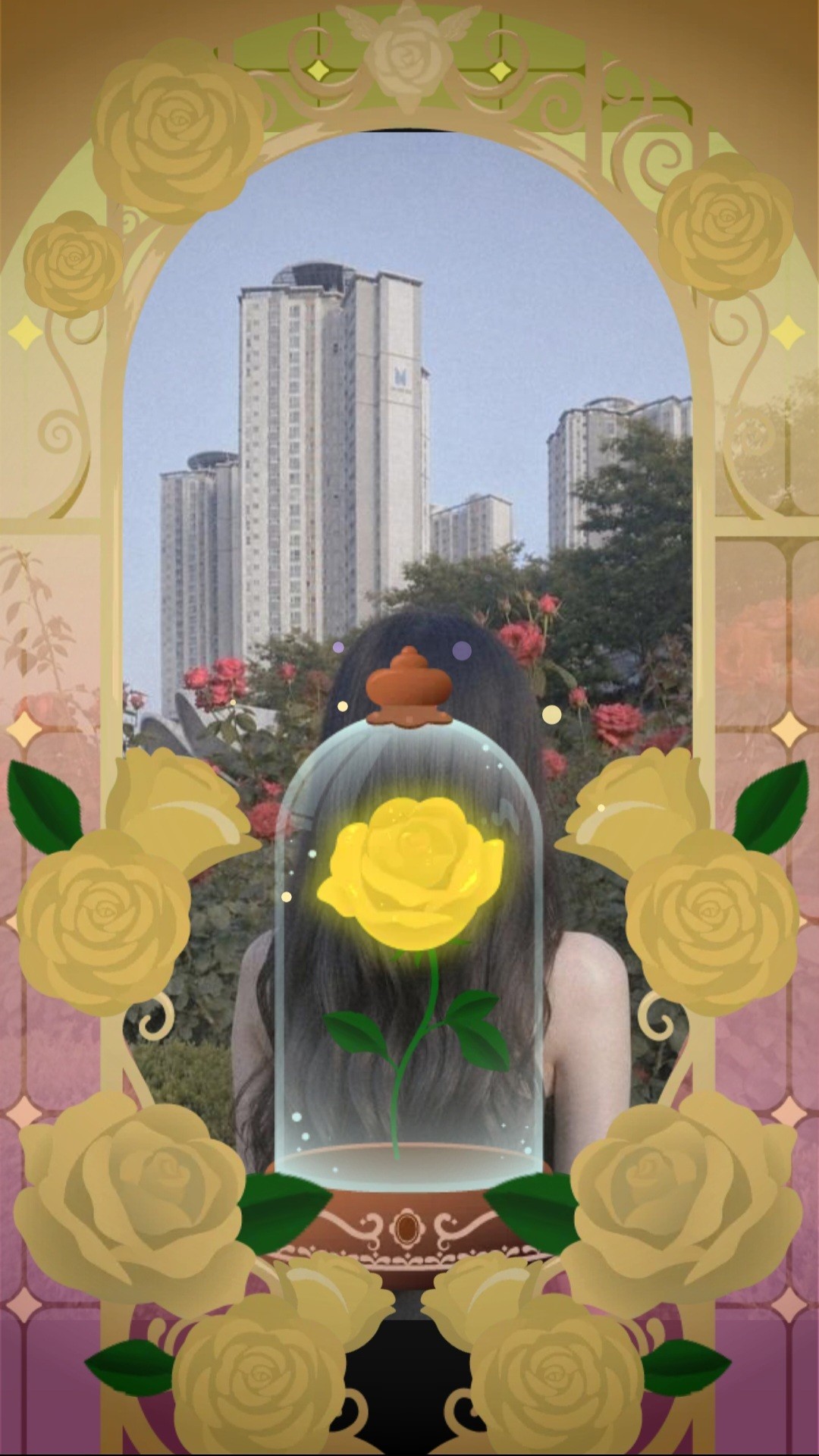 도훈이가 권력부려🌹✨️