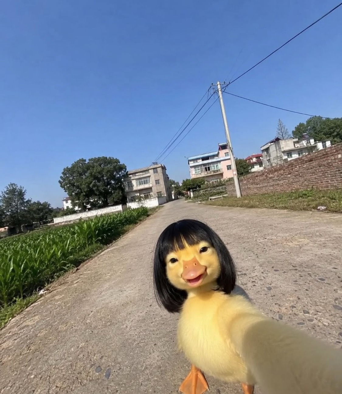 잠이 오질 않ㅇr