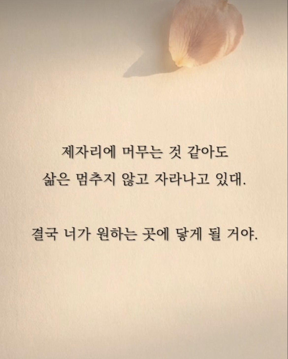 낭독조금하다가 수다