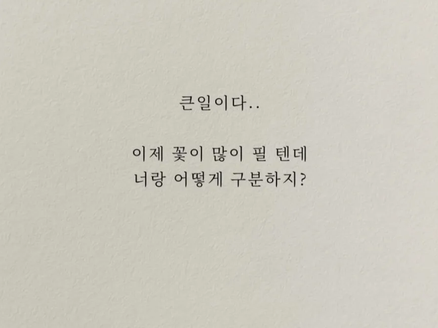 허접 중미성