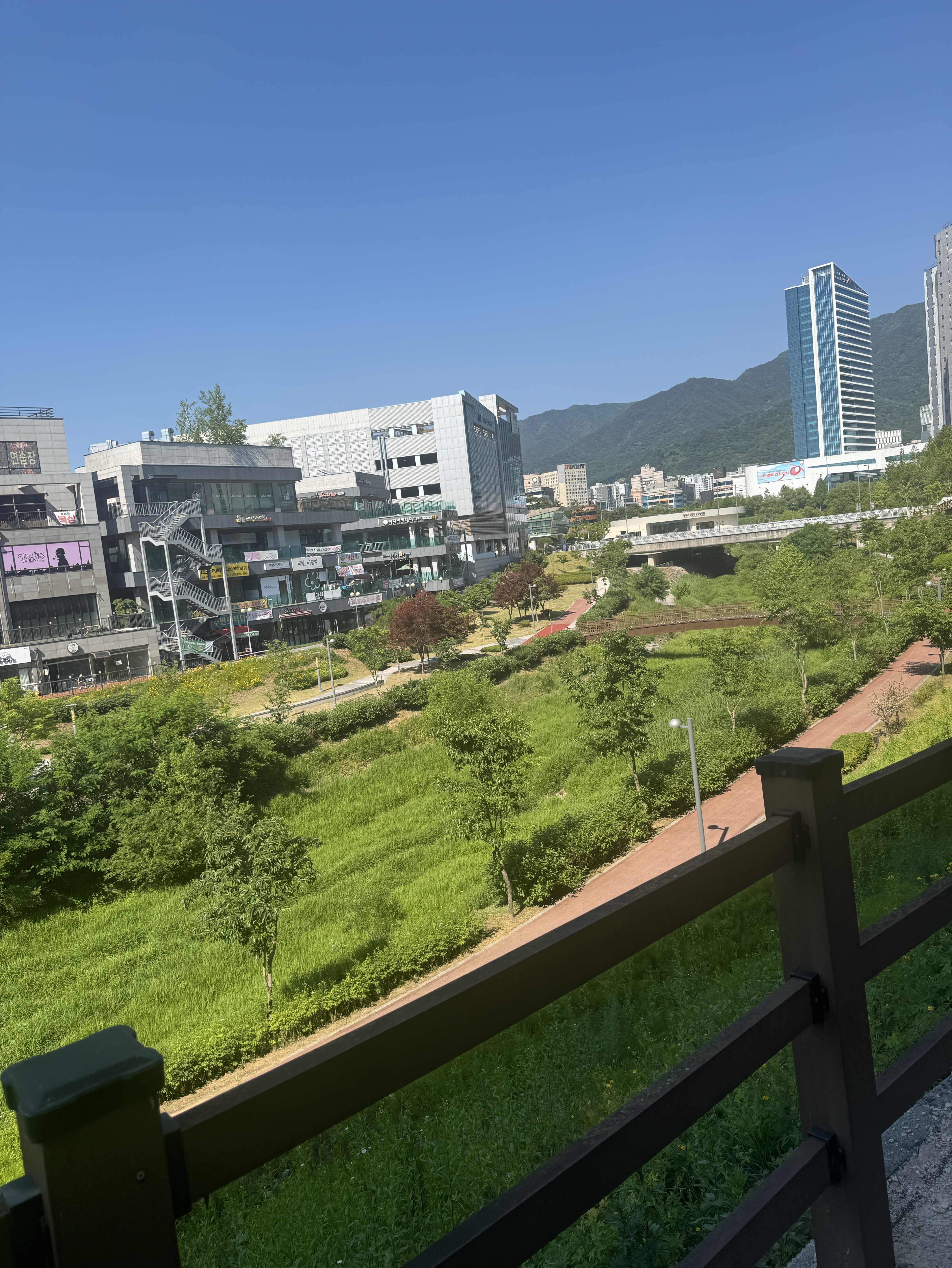 안녕하세요🙇‍♂️