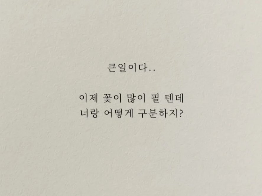 허접 중미성