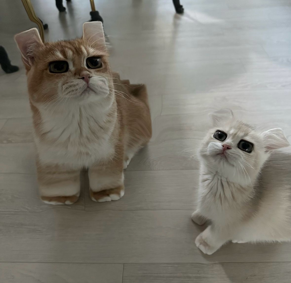 아~ 날씨 좋.타~