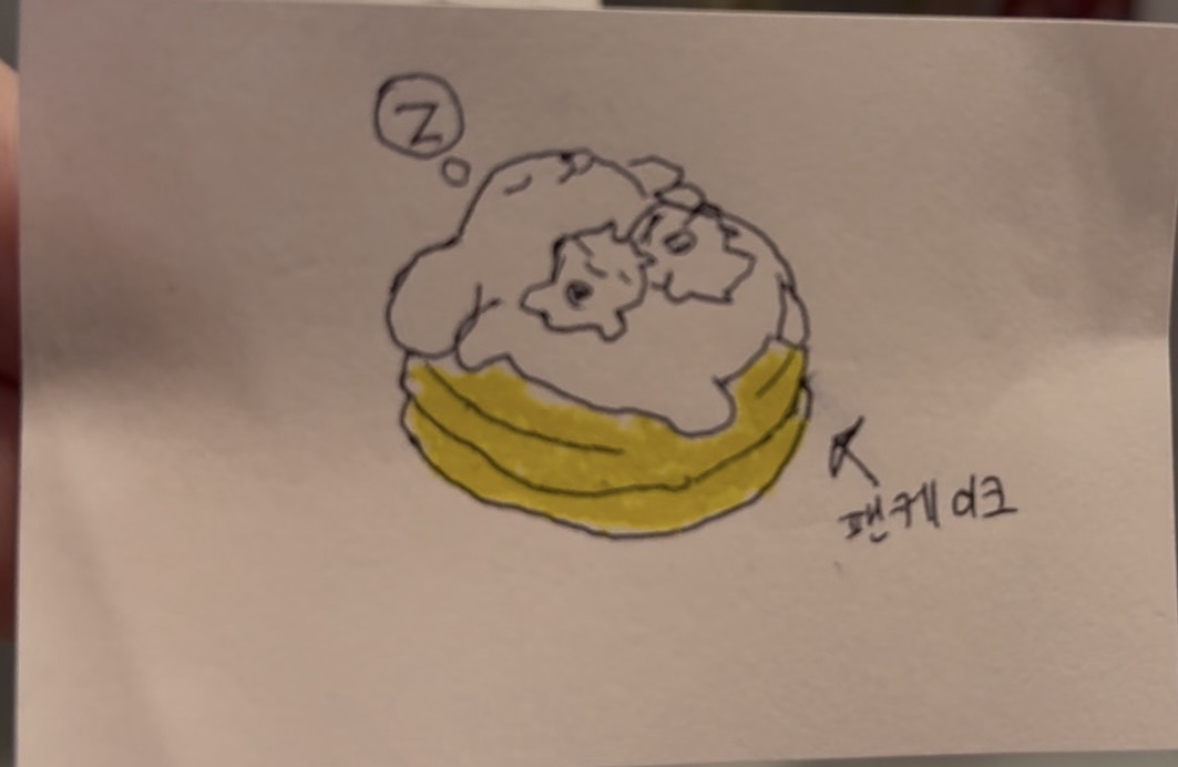 허접 중미성 같이자자