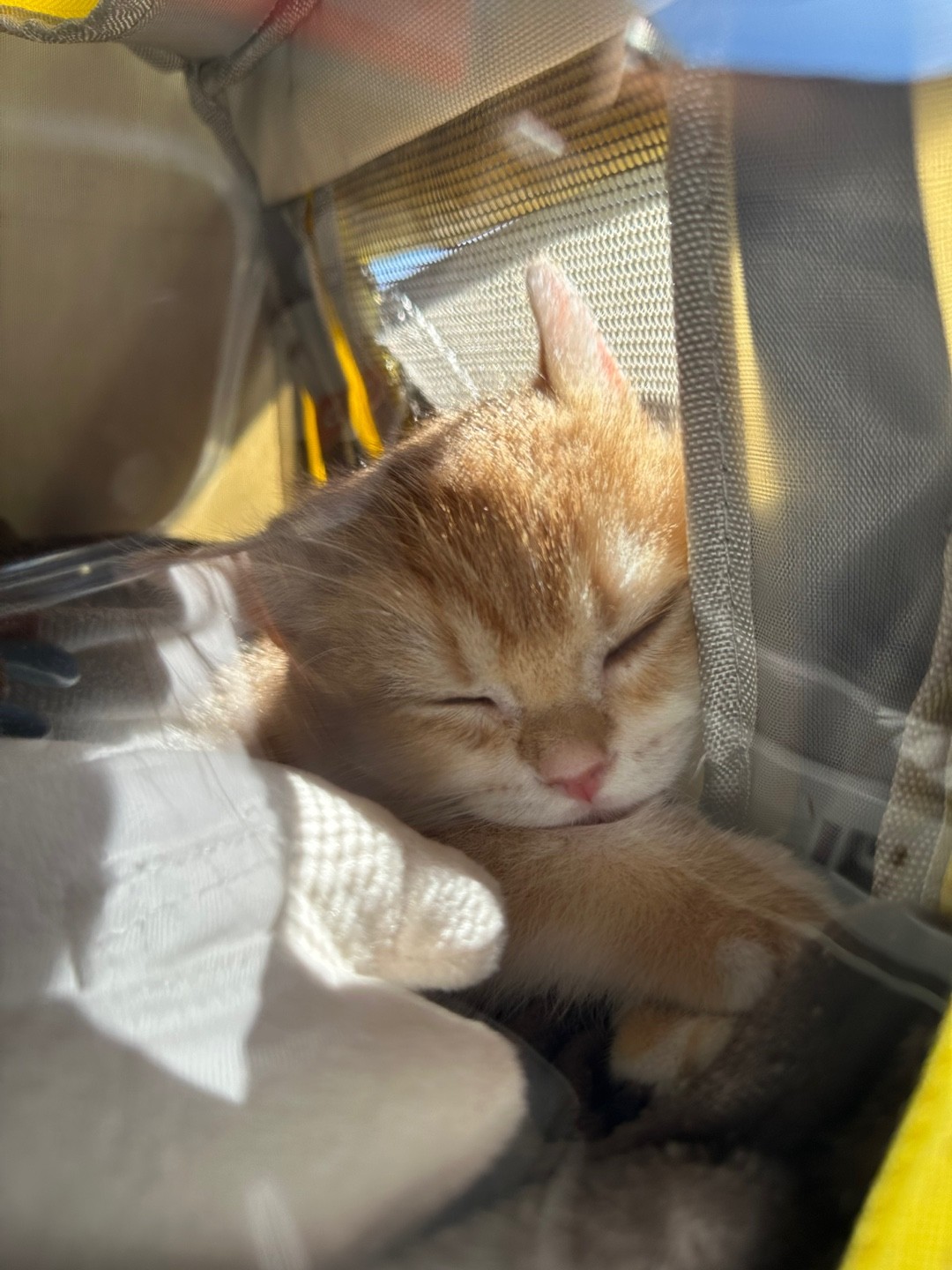 아~ 날씨 좋.타~