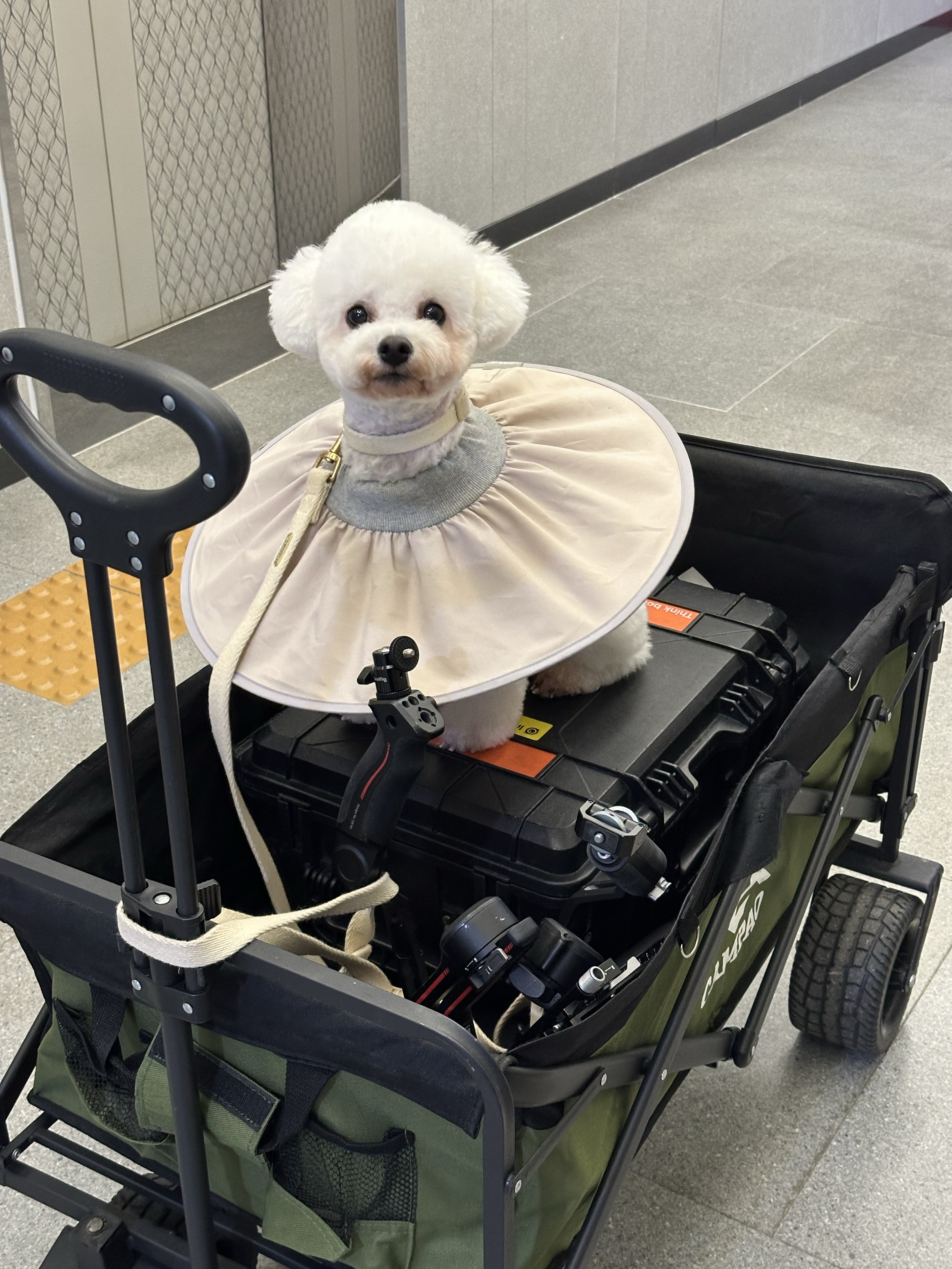 내 작업실 놀러올래?