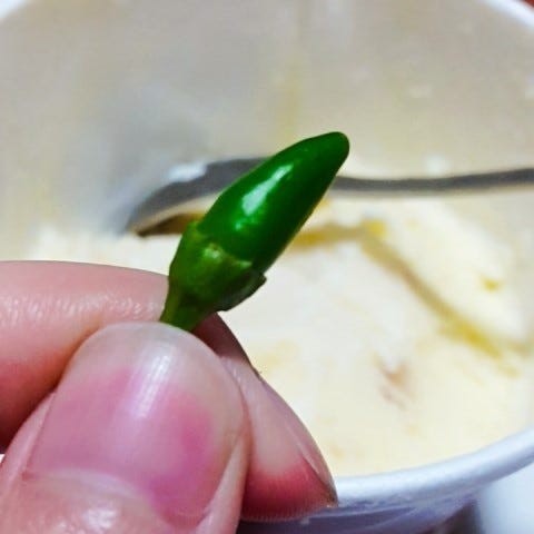 동남아 가성비소개팅
