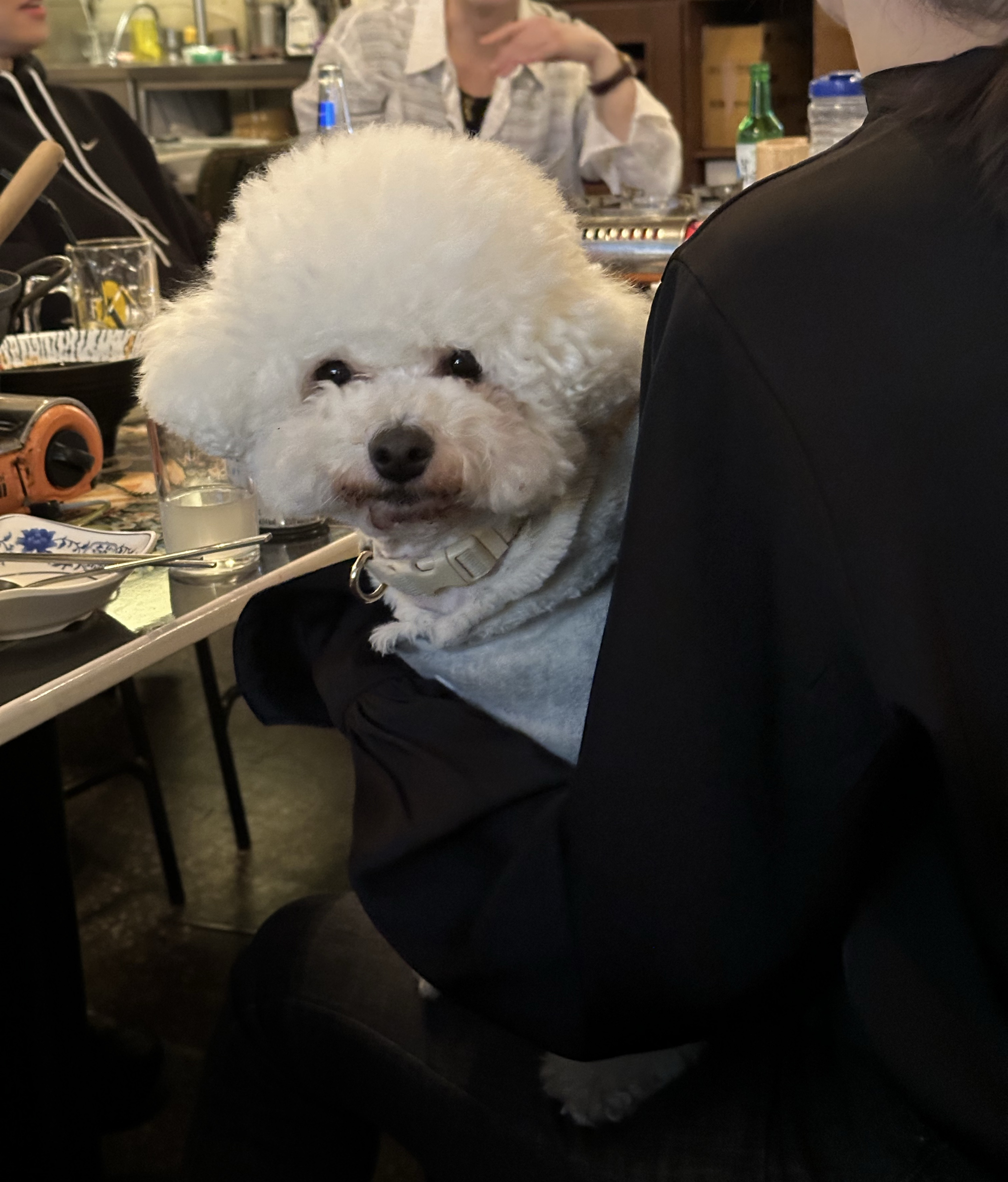 내 작업실 놀러올래?