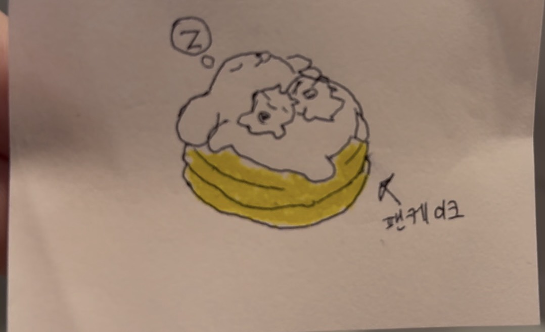허접 중미성 같이자자