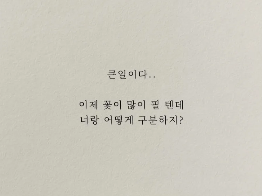 허접 중미성