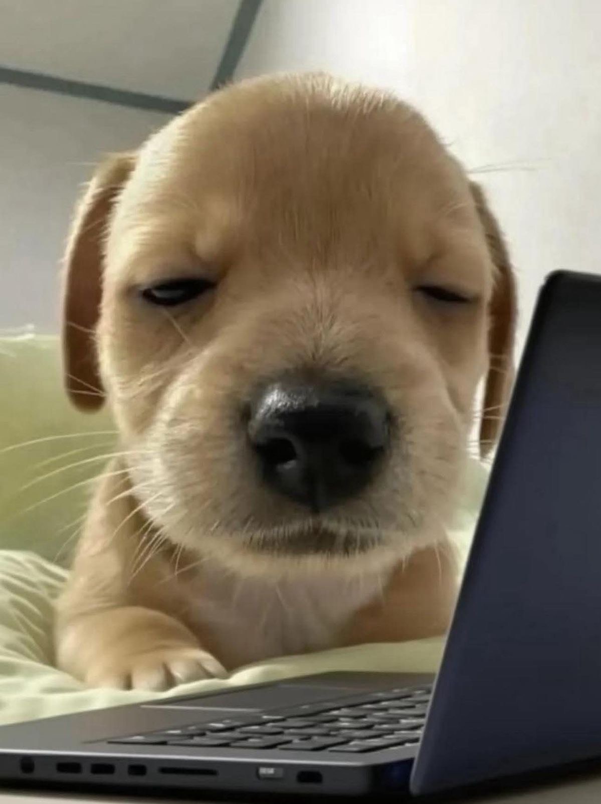 4321