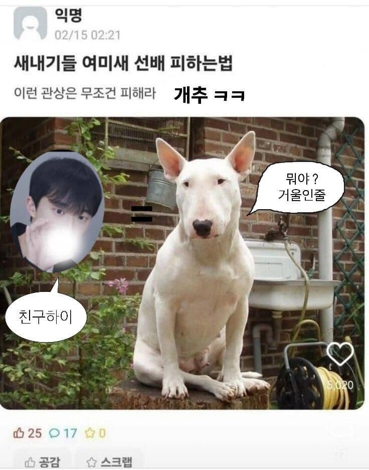 자다깸