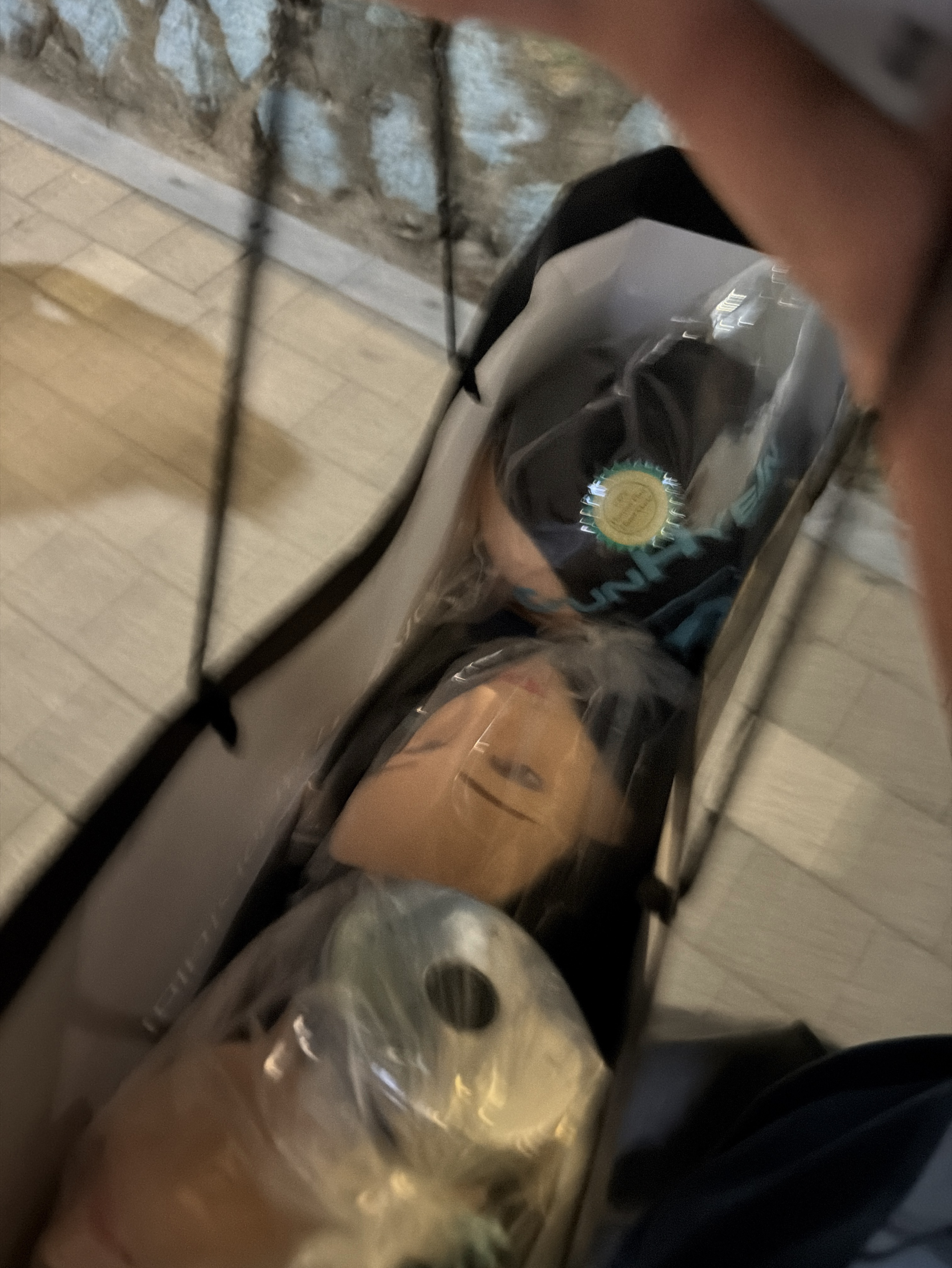 멘헤라정신병