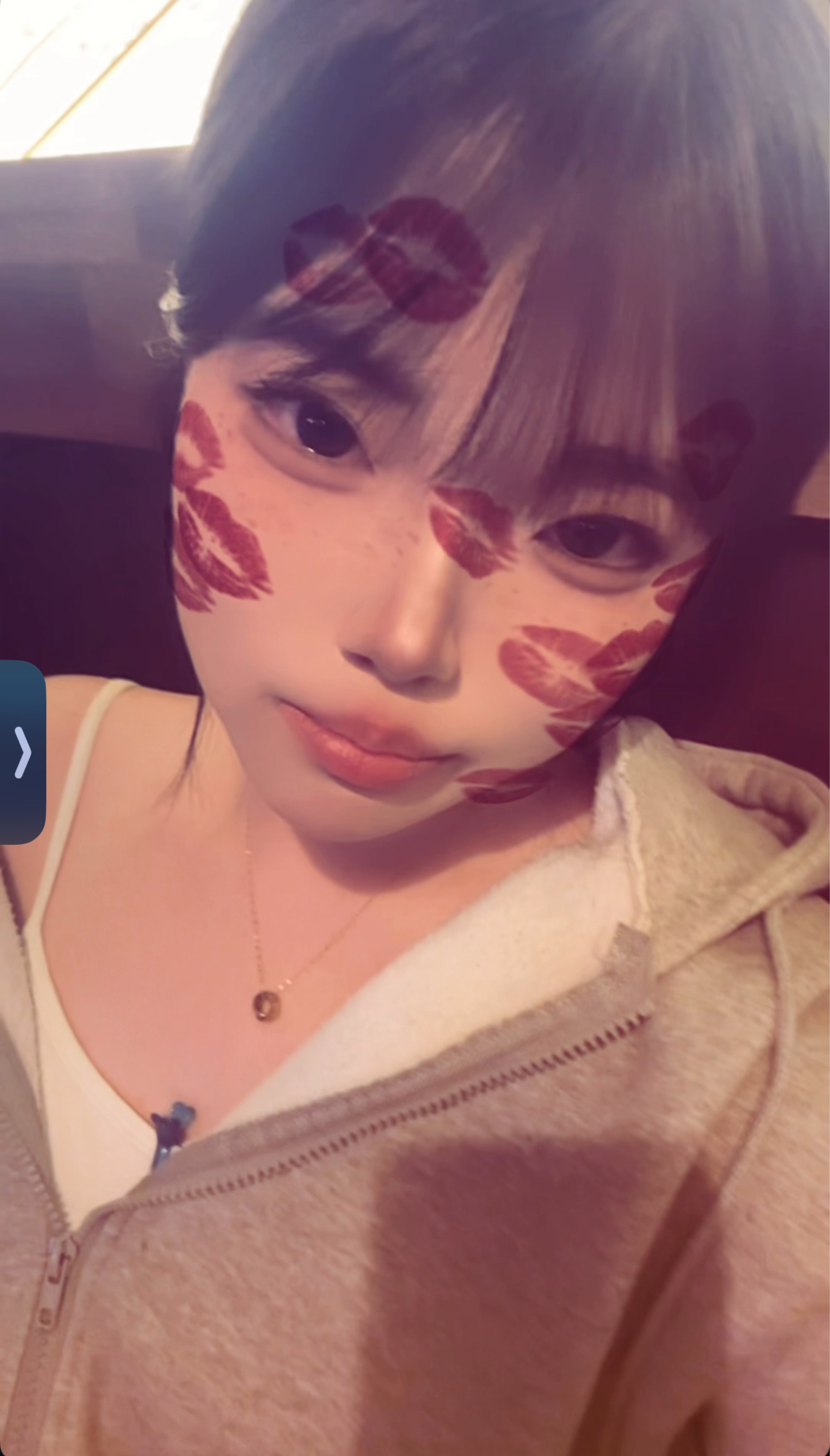 기어들어와