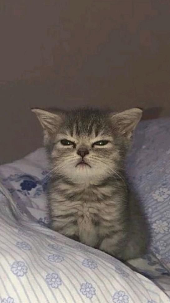 잔잔잔