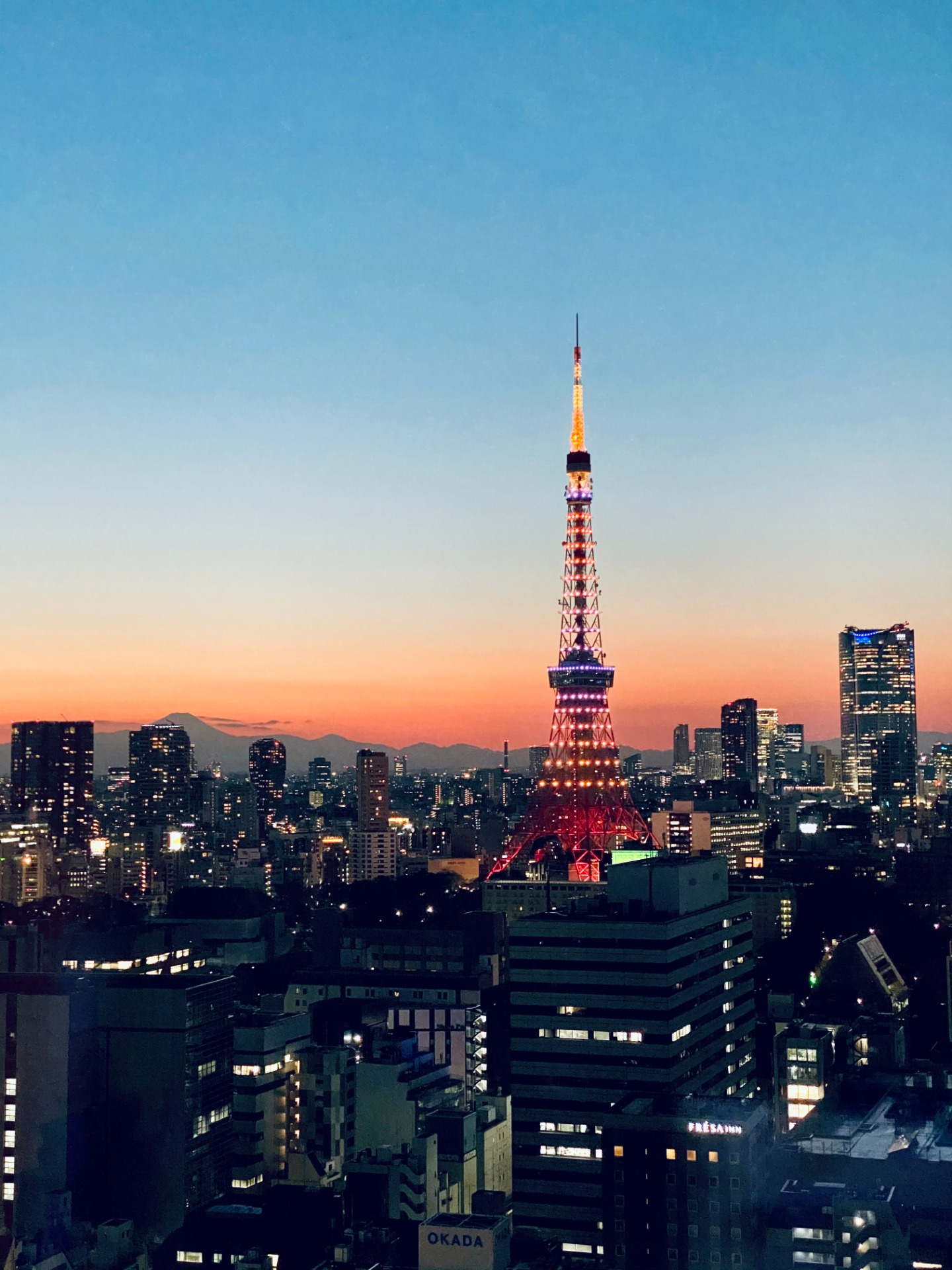 *8일차* 可愛いだけじゃだめですか