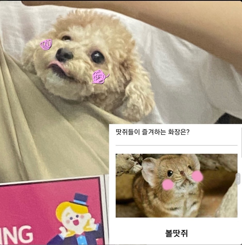 ❝ 한 스푼만 더 행복하세요 ❞