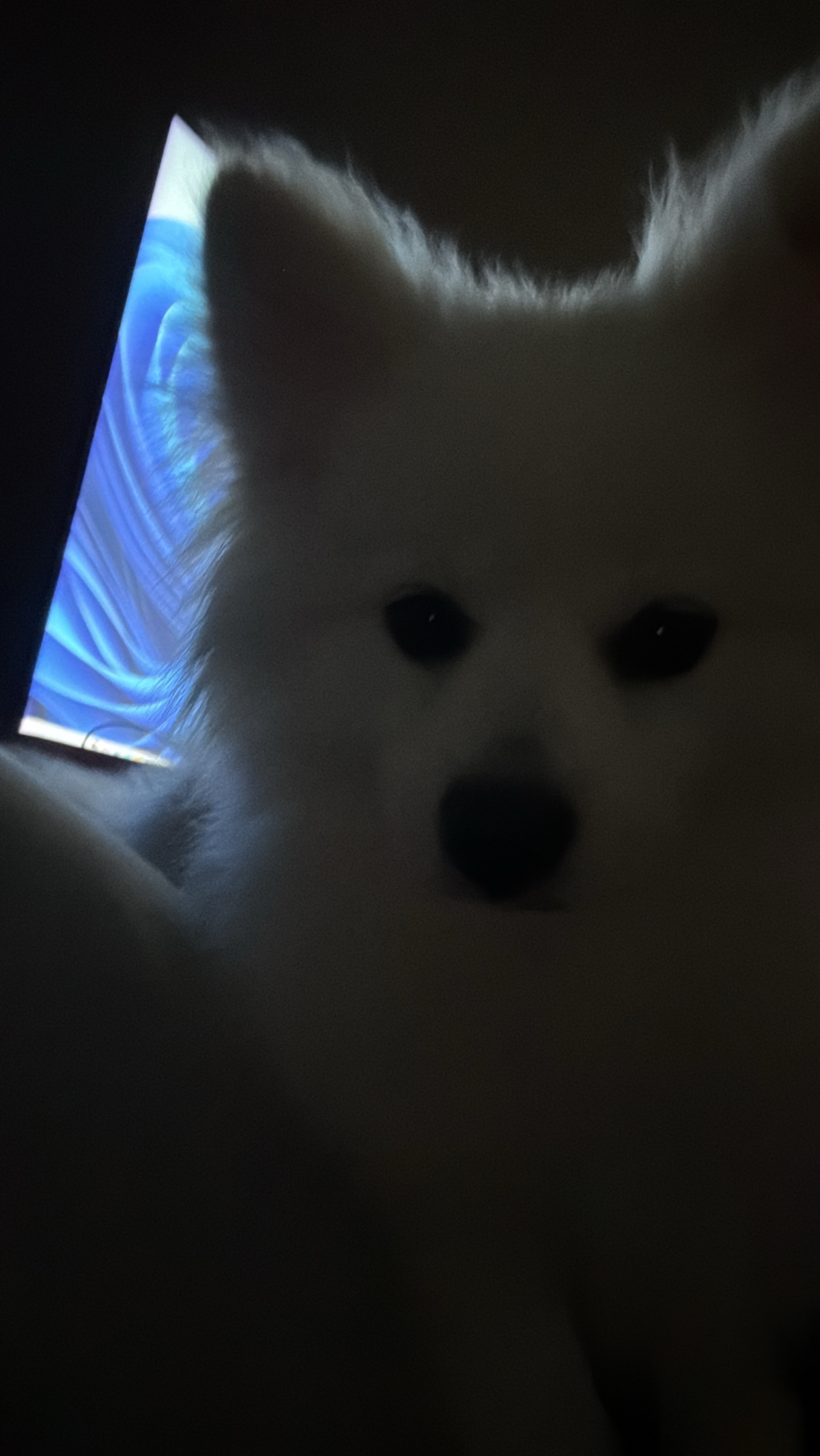 오랜만