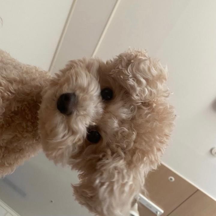 ❝ 한 스푼만 더 행복하세요 ❞