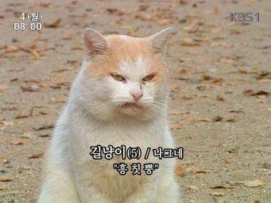 22) 너가 보고싶어서.