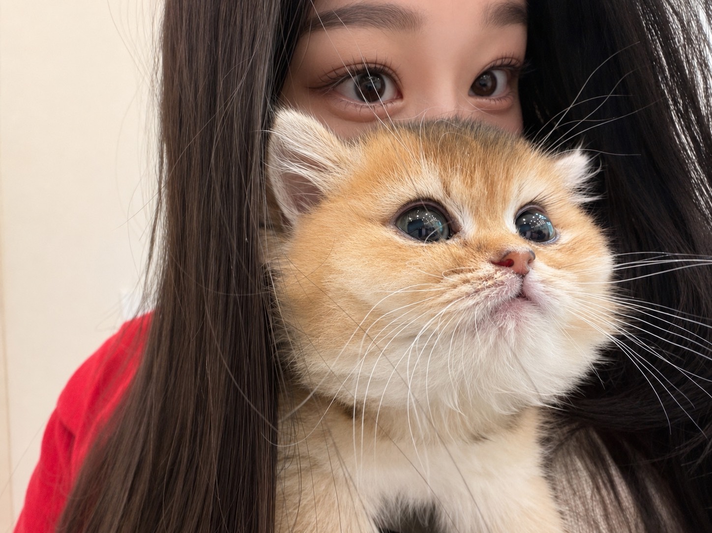 퇴사기원1일차