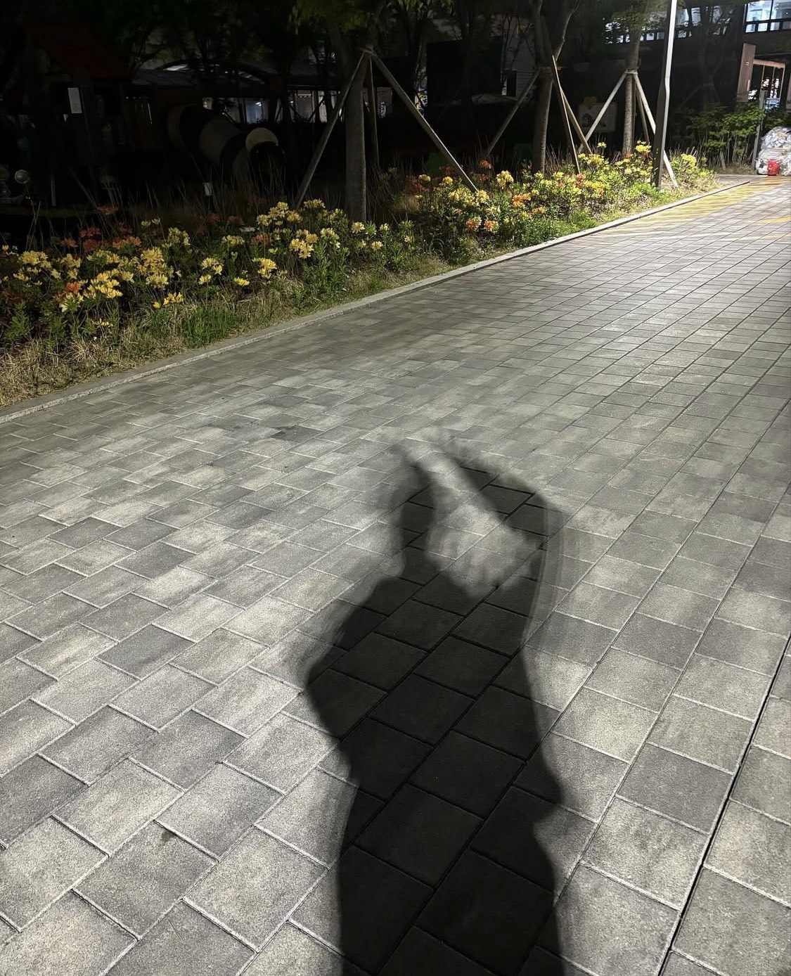 이상형오면 방종