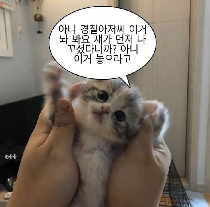 22) 너가 보고싶어서.