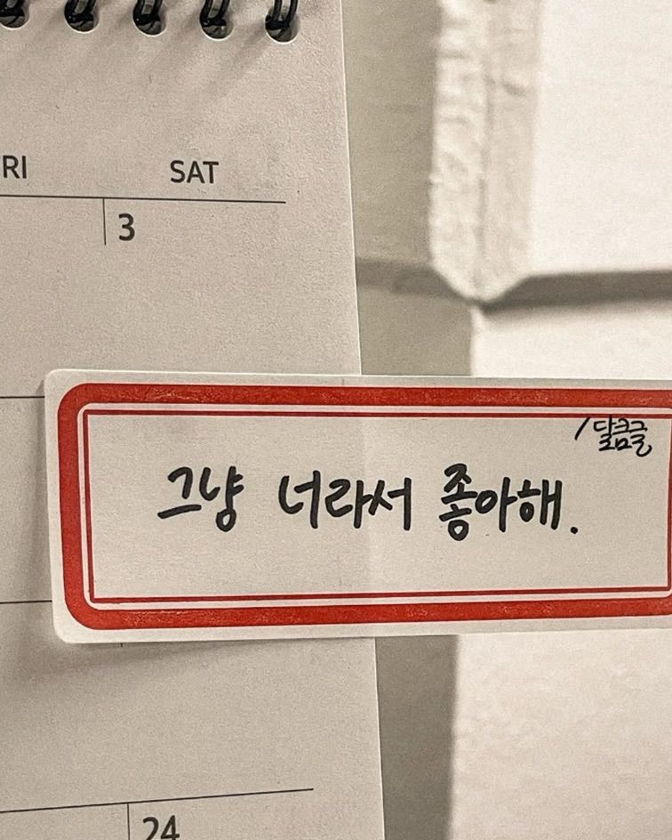 보고싶었어