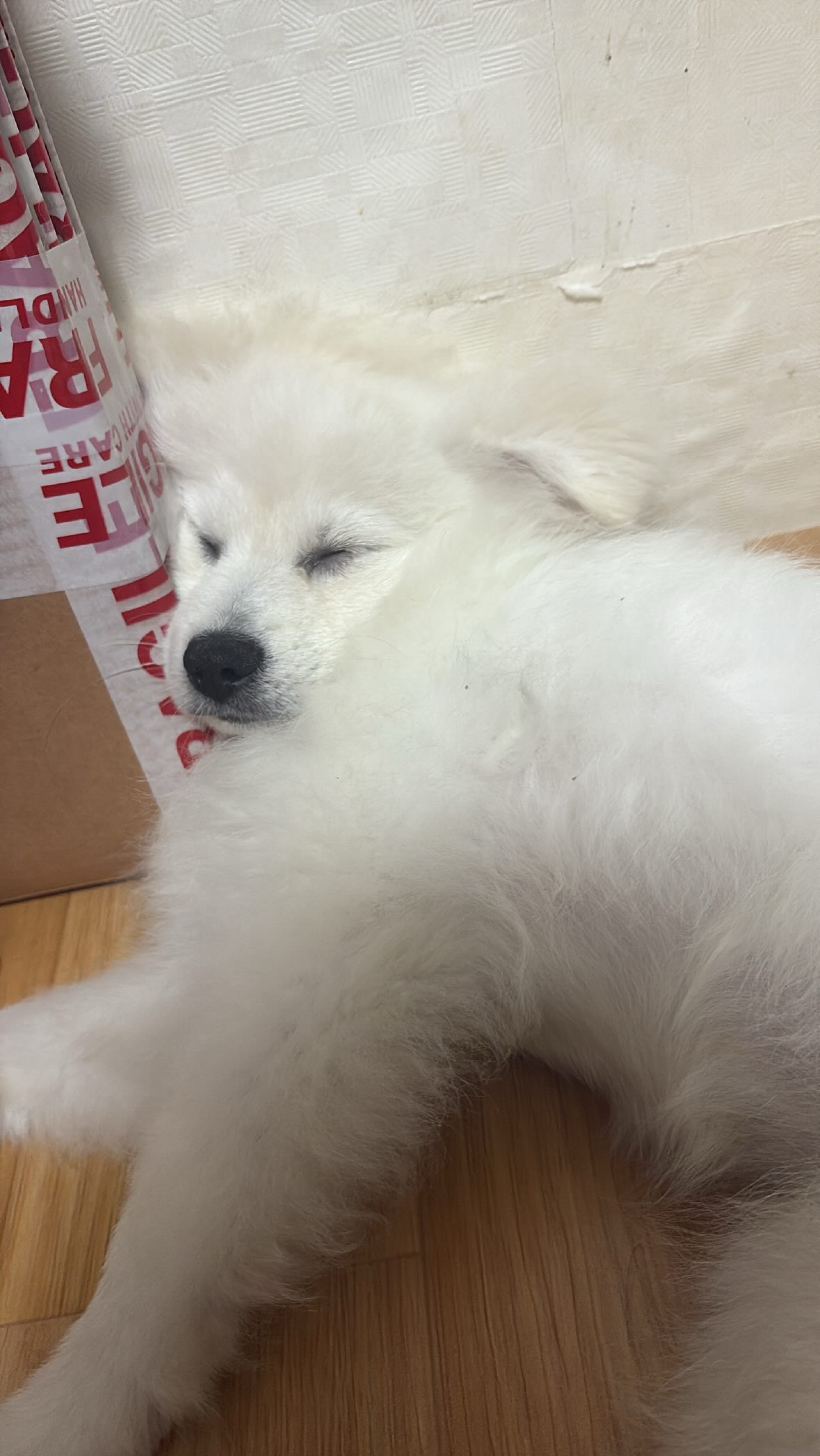 오랜만