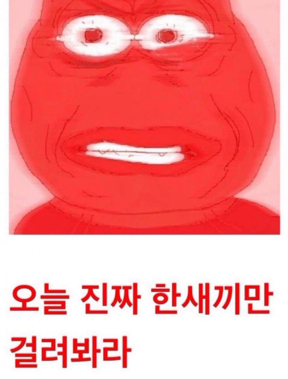 라콜라콜