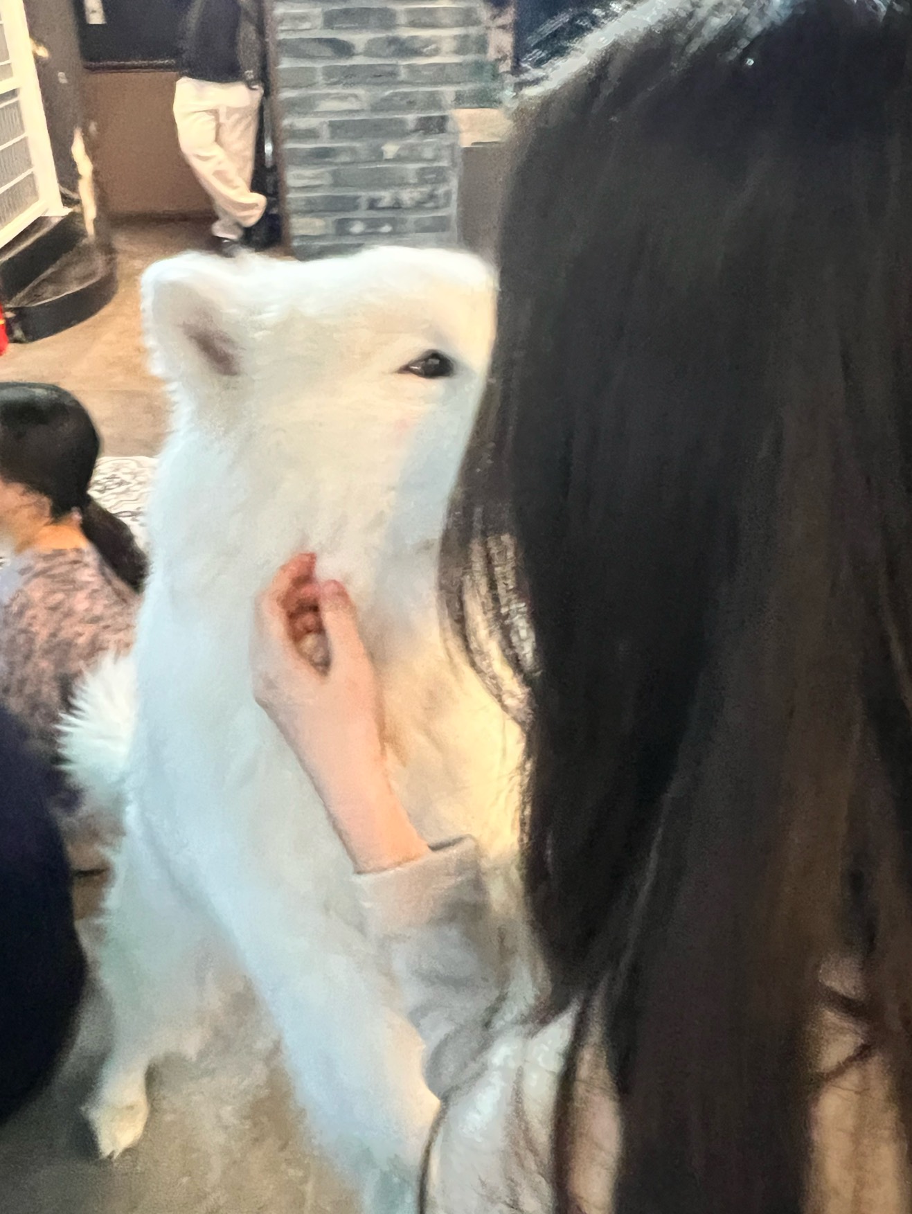 재워줄게요 ,